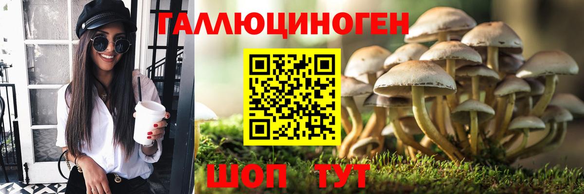 где продают   Вход с VPN  Бузулук  Галлюциногенные грибы Cubensis 